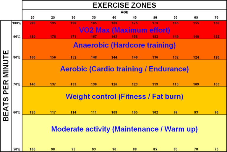 Optimize Training with Heart Rate Variability Insights